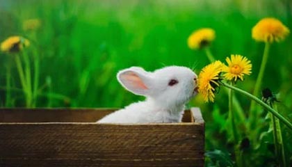 乐鱼app-“替我们完成没有完成的梦想”——中国U23男足激励下一代球员